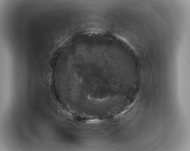 X0000115341399200911091256