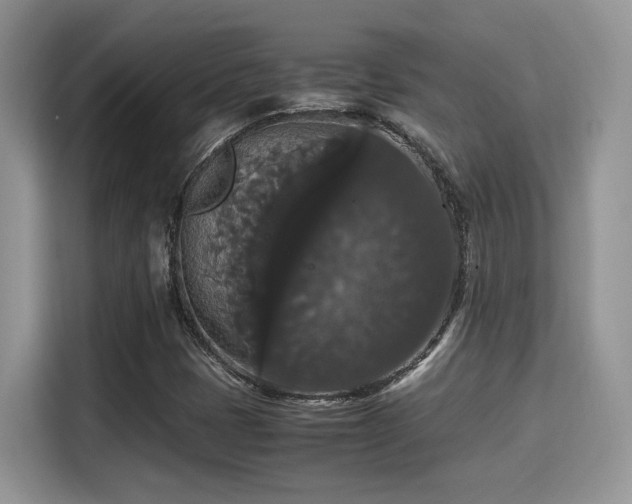 X0000115341401200911091256
