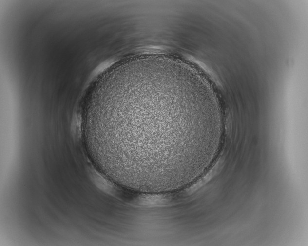 X0000115341402200911091256