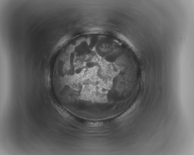 X0000115341403200911091256