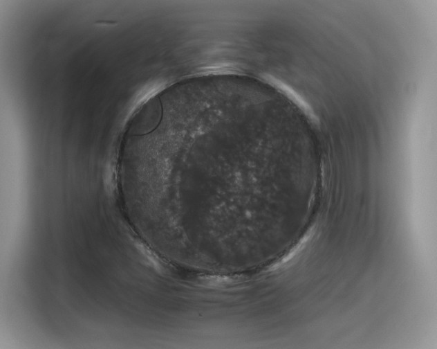 X0000115341405200911091256