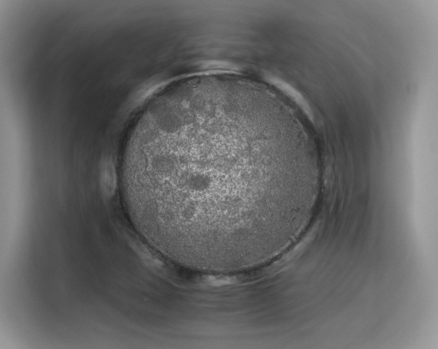 X0000115341407200911091256