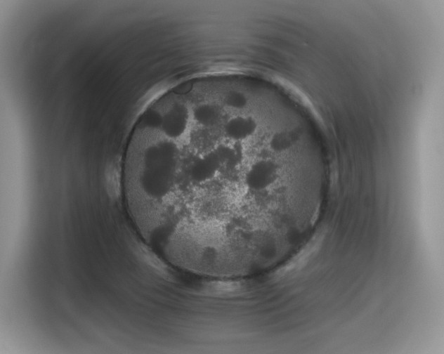 X0000115341409200911091256
