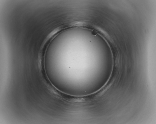 X0000115341410200911091256