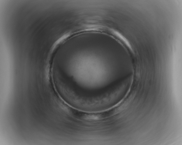 X0000115341411200911091256