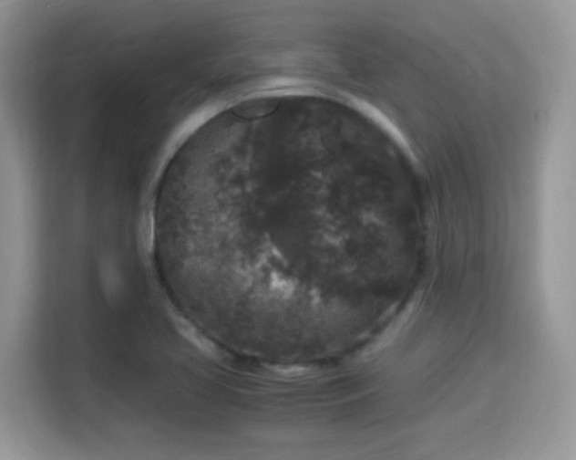 X0000115341413200911091256