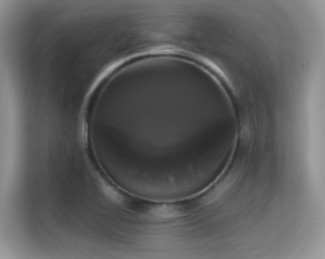 X0000115341414200911091256