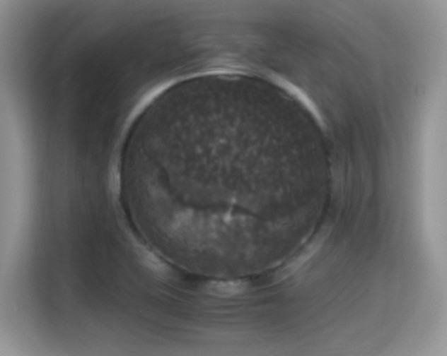 X0000115341415200911091256