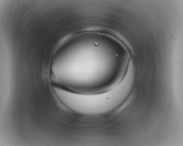 X0000115341417200911091256
