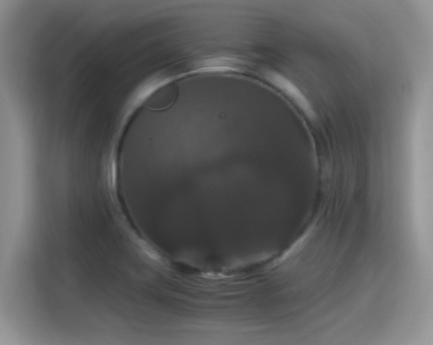X0000115341419200911091256