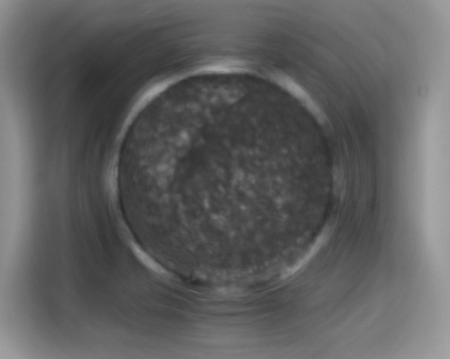 X0000115341421200911091256