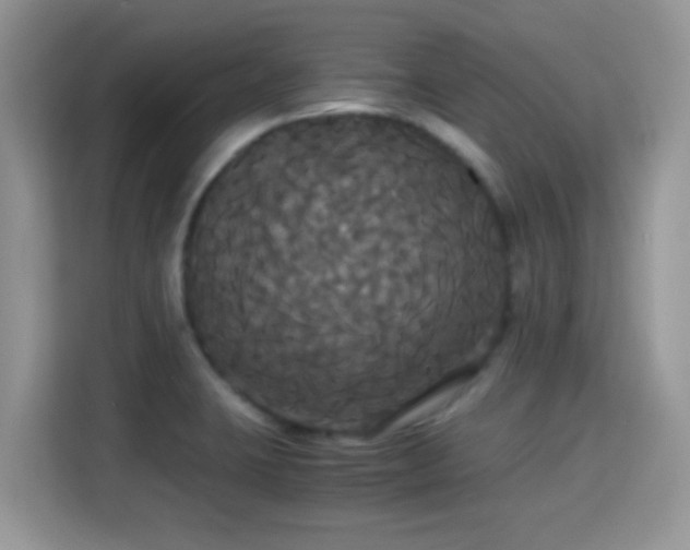 X0000115341423200911091256