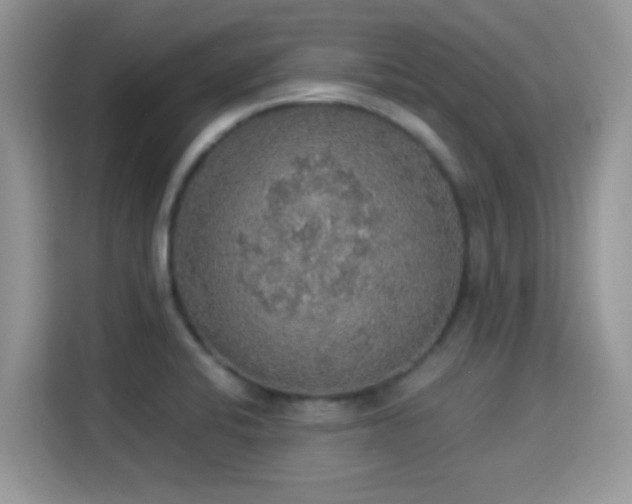 X0000115341424200911091256