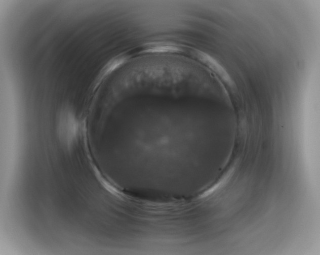 X0000115341425200911091256
