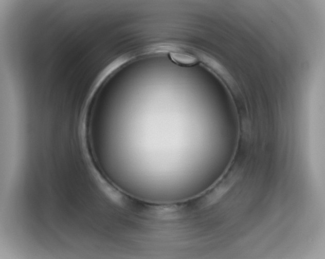 X0000115341426200911091256