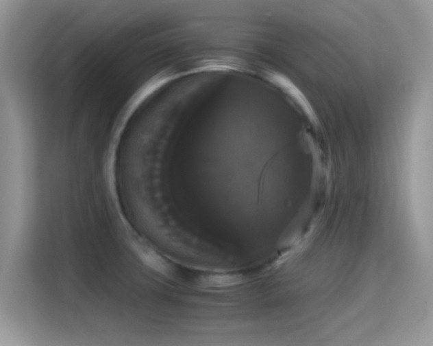 X0000115341427200911091256