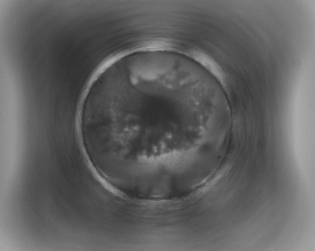 X0000115341429200911091256