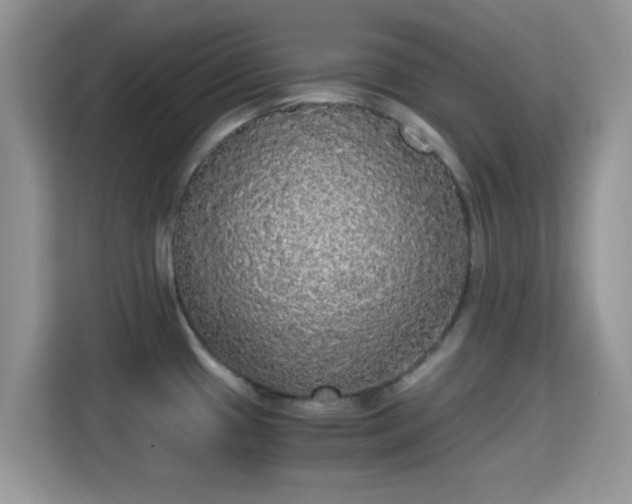 X0000115341433200911091256
