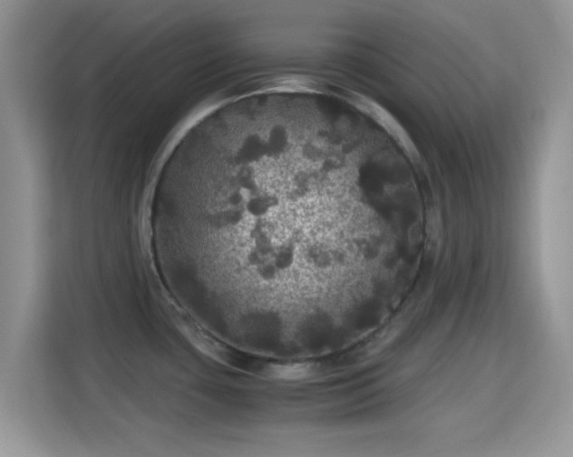 X0000115341435200911091256