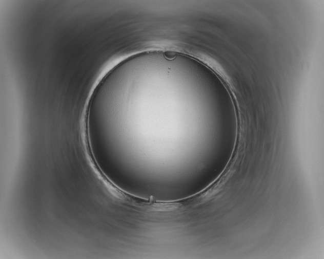 X0000115341440200911091256