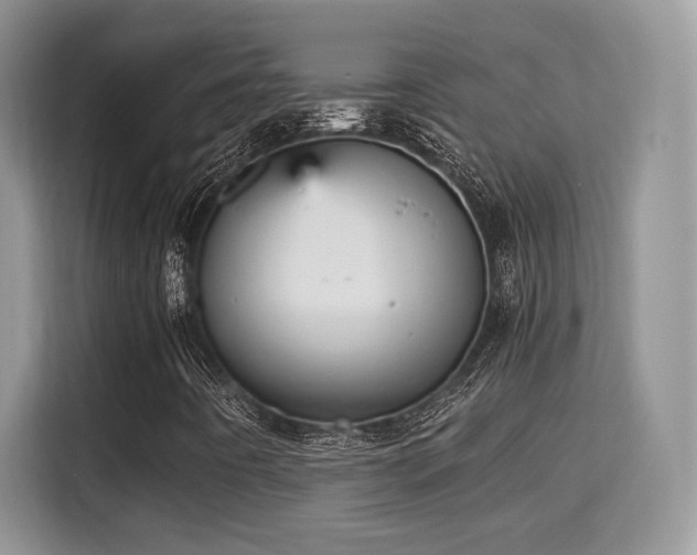 X0000115341442200911091256
