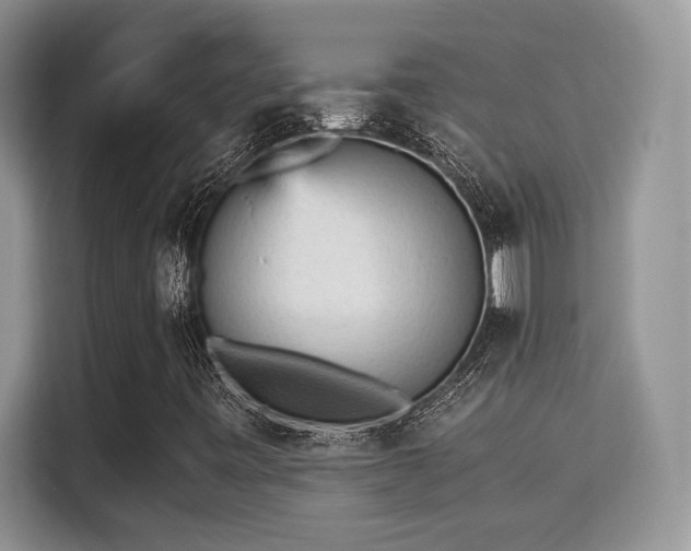 X0000115341443200911091256