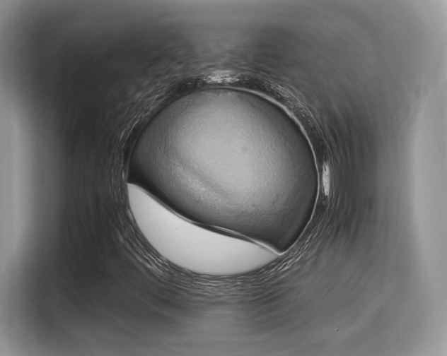 X0000115341444200911091256