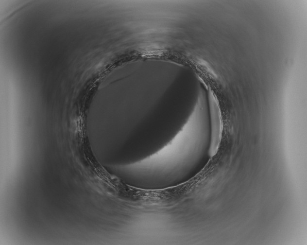 X0000115341445200911091255