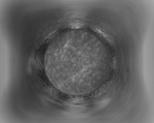 X0000115341446200911091255