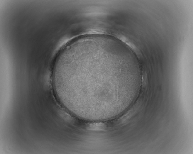 X0000115341454200911091255