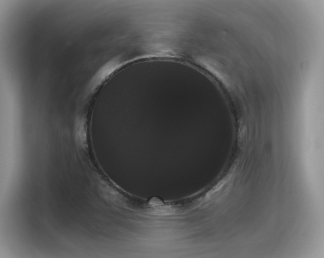 X0000115341455200911091255