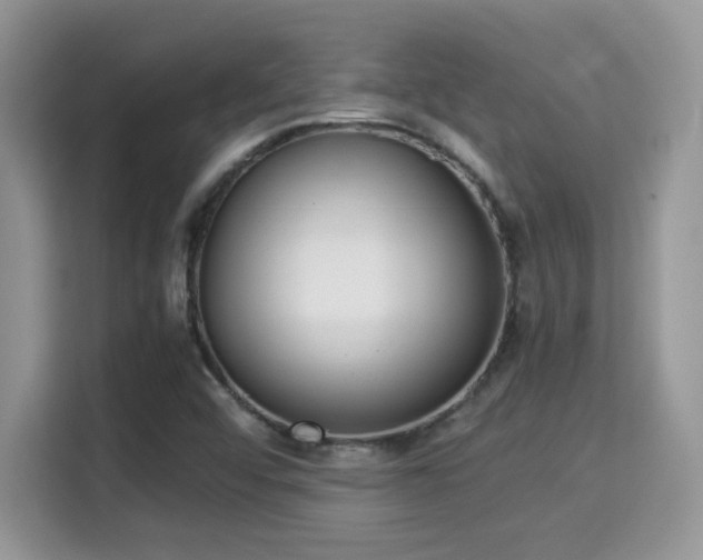 X0000115341456200911091255