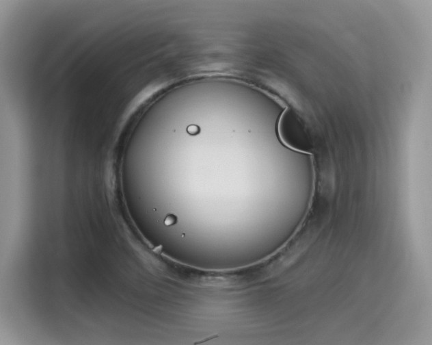 X0000115341458200911091255
