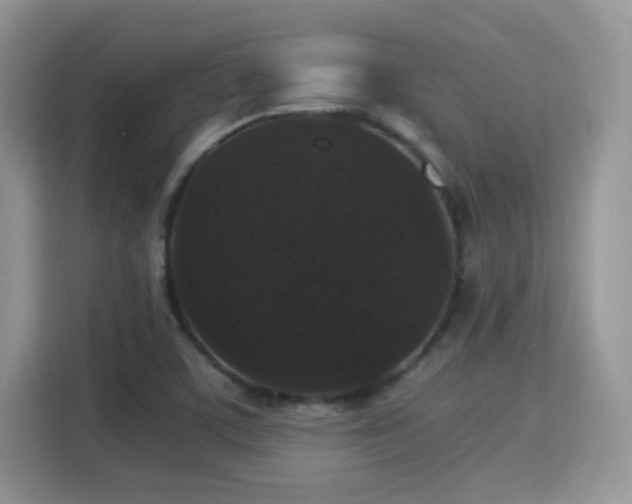 X0000115341459200911091255