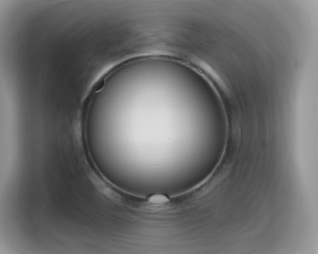 X0000115341460200911091255