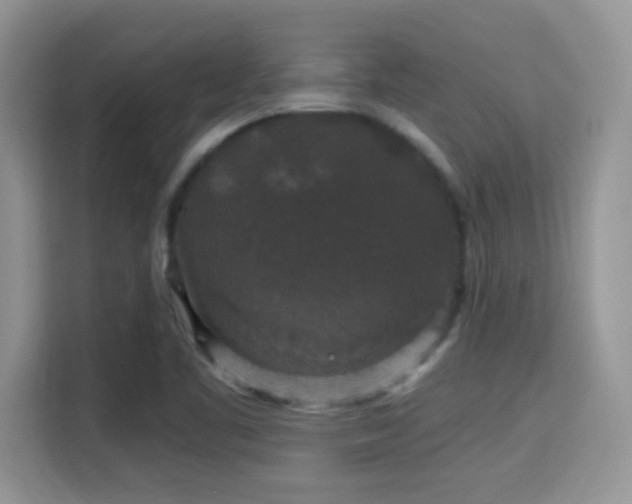 X0000115341461200911091255