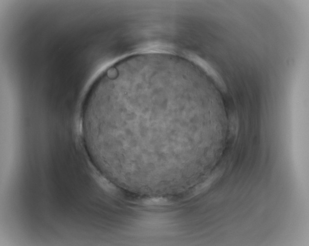 X0000115341462200911091255