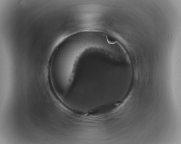 X0000115341463200911091255