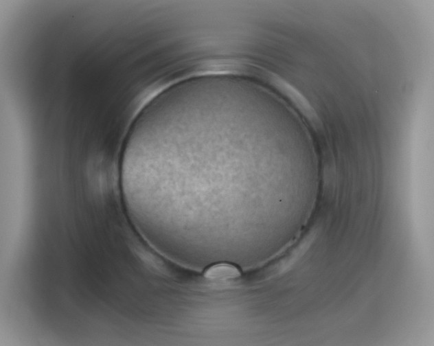 X0000115341465200911091255