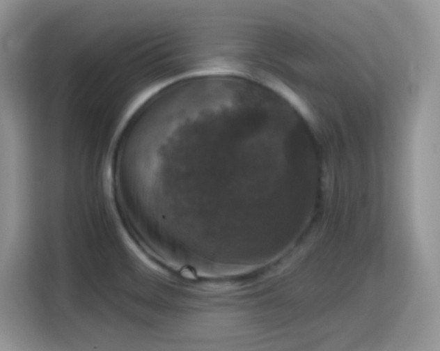 X0000115341468200911091255