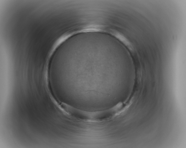 X0000115341469200911091255
