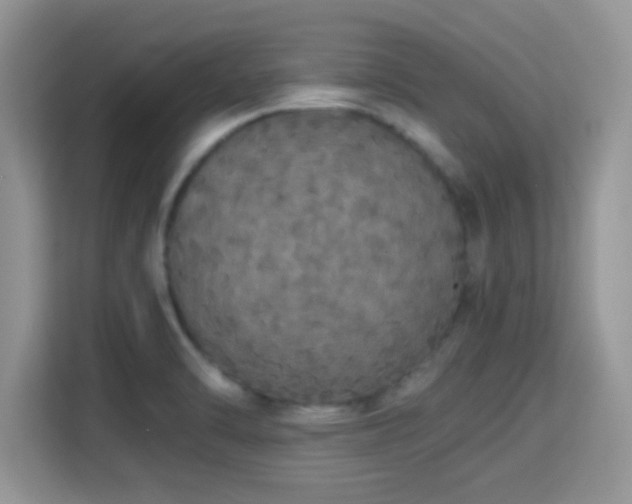 X0000115341470200911091255