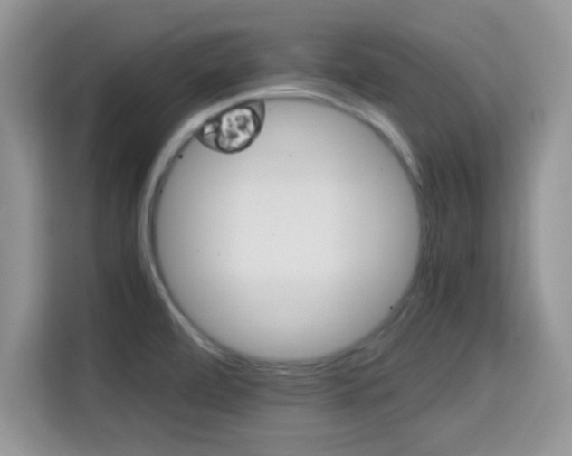 X0000115341472200911091255