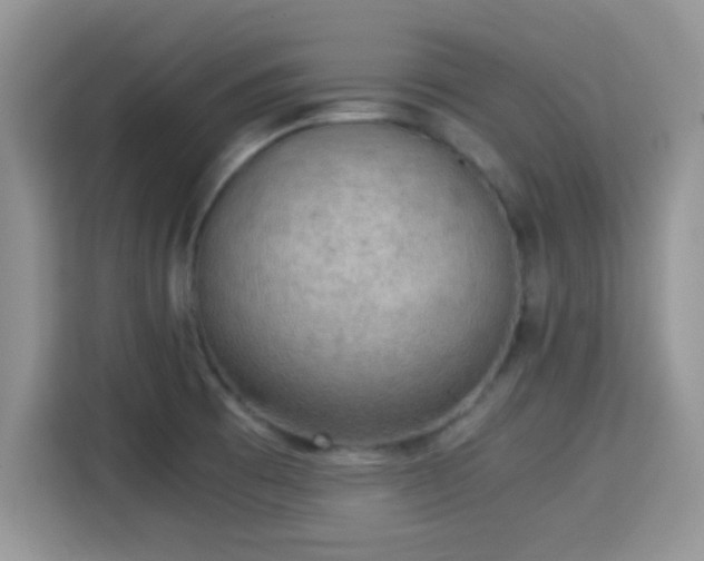 X0000115341473200911091255