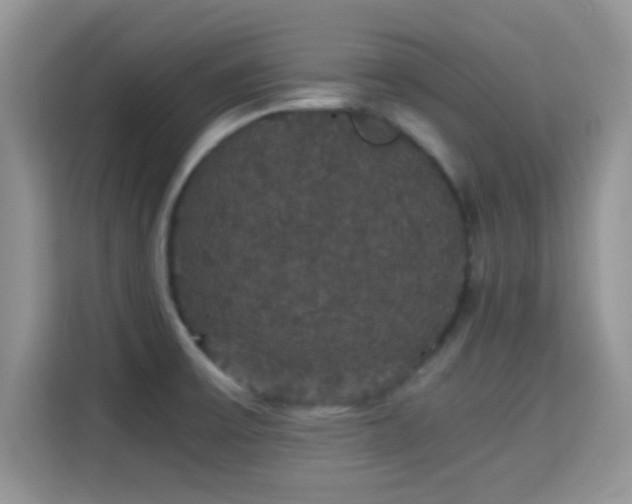 X0000115341475200911091255