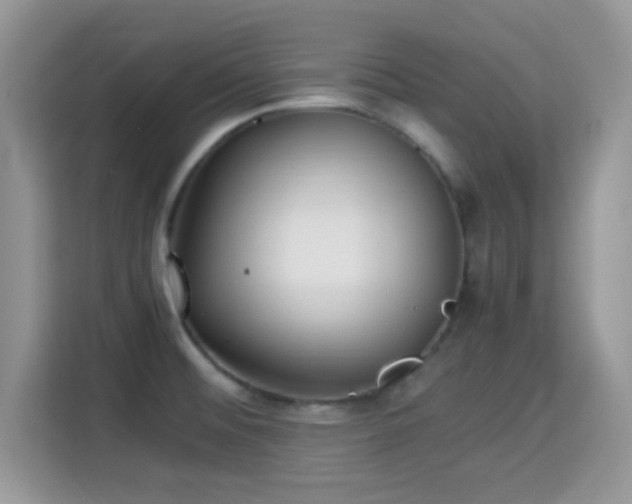 X0000115341476200911091255