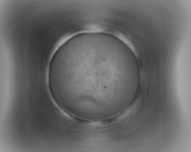 X0000115341477200911091255