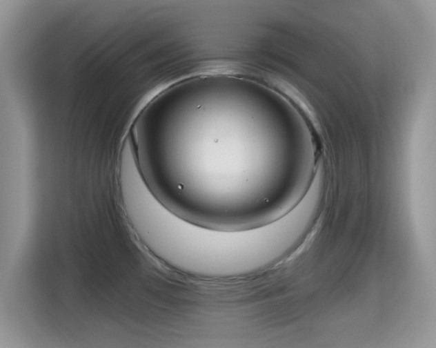 X0000115341481200911091255