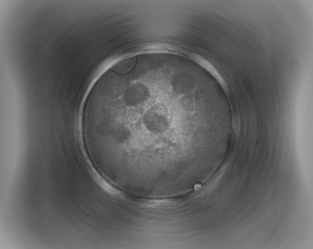 X0000115341482200911091255