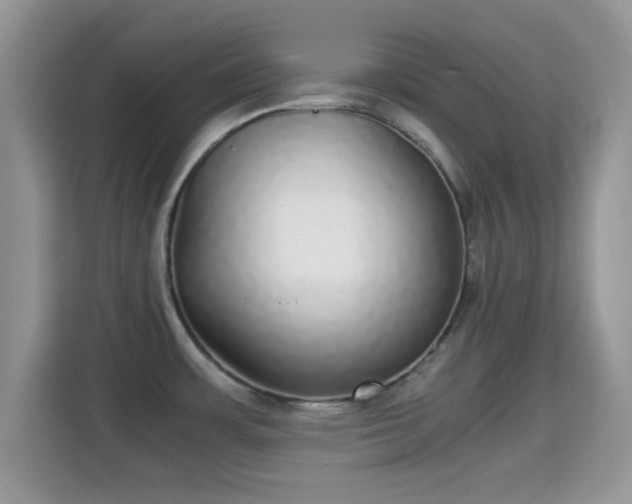 X0000115341483200911091255